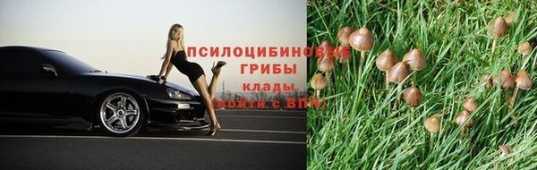 спиды Заволжье
