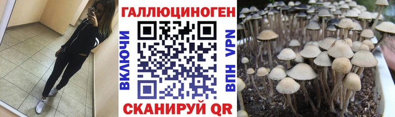 Купить где  Озёрск  Псилоцибиновые грибы GOLDEN TEACHER 